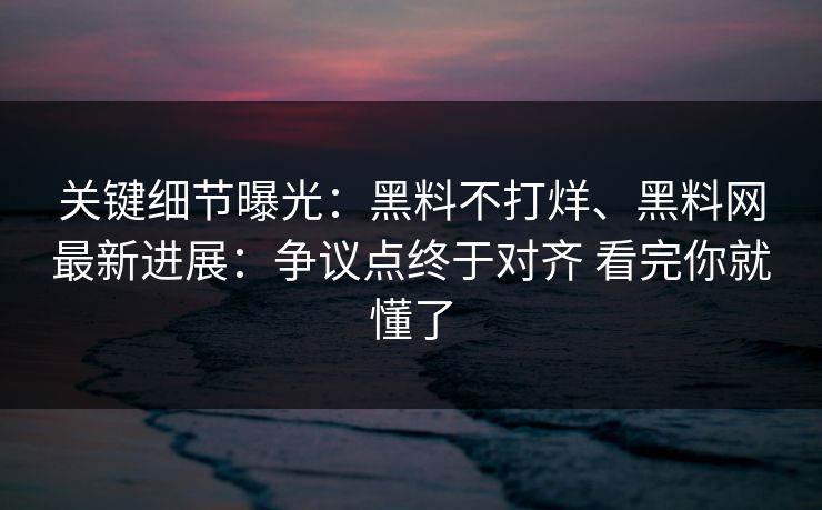 关键细节曝光：黑料不打烊、黑料网最新进展：争议点终于对齐 看完你就懂了