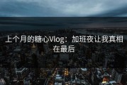 上个月的糖心Vlog：加班夜让我真相在最后