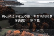 糖心频道评论区吵翻：断舍离到底谁在说谎？｜别学我