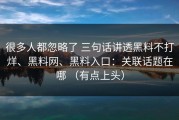 很多人都忽略了 三句话讲透黑料不打烊、黑料网、黑料入口：关联话题在哪 （有点上头）