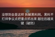 没想到会是这样 拆解黑料网、黑料不打烊争议点把重点抓出来 越往后越关键（破防）