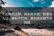 不起眼的注脚，其实很关键：就黑料入口、黑料不打烊、黑料网关键节点捋顺