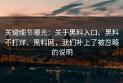 关键细节曝光：关于黑料入口、黑料不打烊、黑料网，我们补上了被忽略的说明
