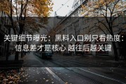 关键细节曝光：黑料入口别只看热度：信息差才是核心 越往后越关键