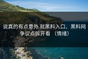 说真的有点意外 就黑料入口、黑料网争议点拆开看 （情绪）