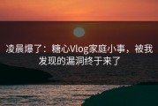 凌晨爆了：糖心Vlog家庭小事，被我发现的漏洞终于来了