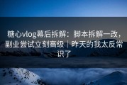 糖心vlog幕后拆解：脚本拆解一改，副业尝试立刻高级｜昨天的我太反常识了