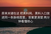原来关键在这 把黑料网、黑料入口放进同一条脉络图里，答案更清楚 两分钟看懂核心