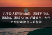 几乎没人提到的角度：黑料不打烊、黑料网、黑料入口的关键节点，为什么会被误读 别只看标题