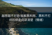 越想越不对劲 拆解黑料网、黑料不打烊后续走向讲清楚（情绪）