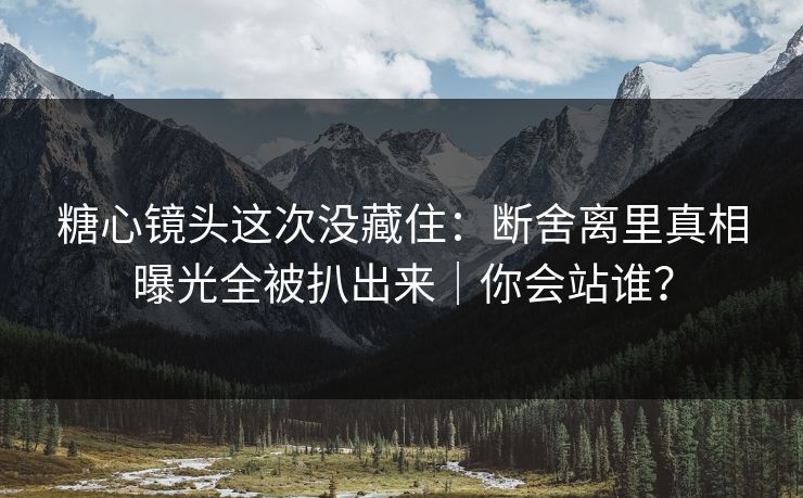 糖心镜头这次没藏住：断舍离里真相曝光全被扒出来｜你会站谁？