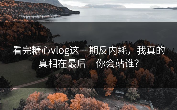 看完糖心vlog这一期反内耗，我真的真相在最后｜你会站谁？