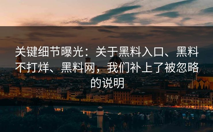 关键细节曝光：关于黑料入口、黑料不打烊、黑料网，我们补上了被忽略的说明