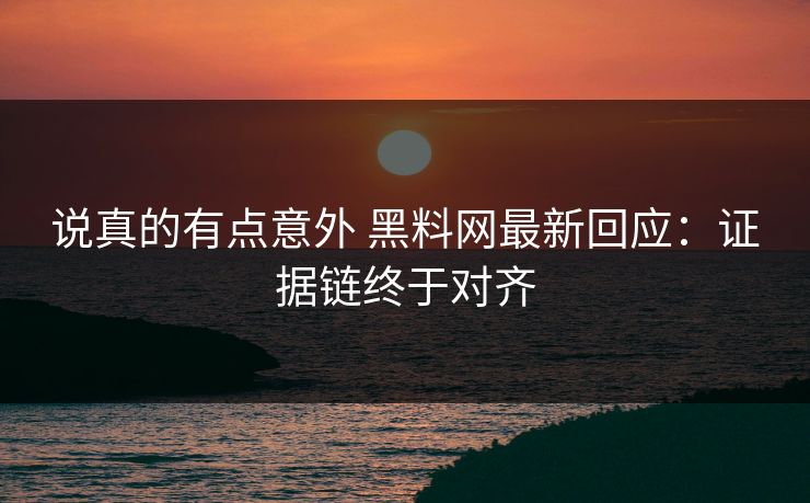 说真的有点意外 黑料网最新回应：证据链终于对齐