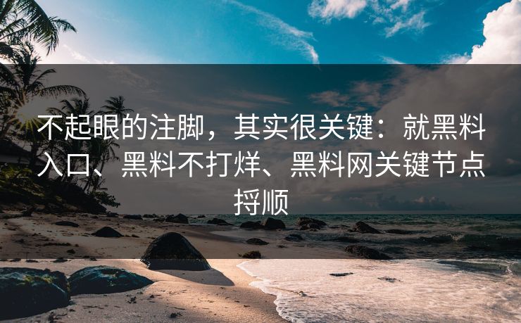 不起眼的注脚，其实很关键：就黑料入口、黑料不打烊、黑料网关键节点捋顺