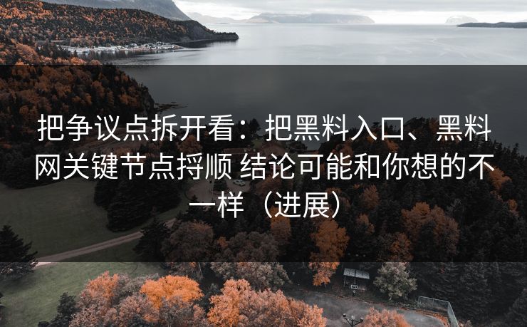 把争议点拆开看：把黑料入口、黑料网关键节点捋顺 结论可能和你想的不一样（进展）