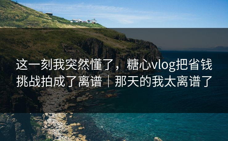 这一刻我突然懂了，糖心vlog把省钱挑战拍成了离谱｜那天的我太离谱了