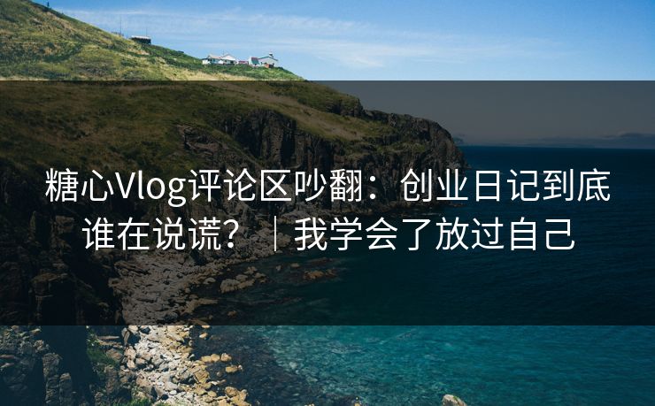 糖心Vlog评论区吵翻：创业日记到底谁在说谎？｜我学会了放过自己