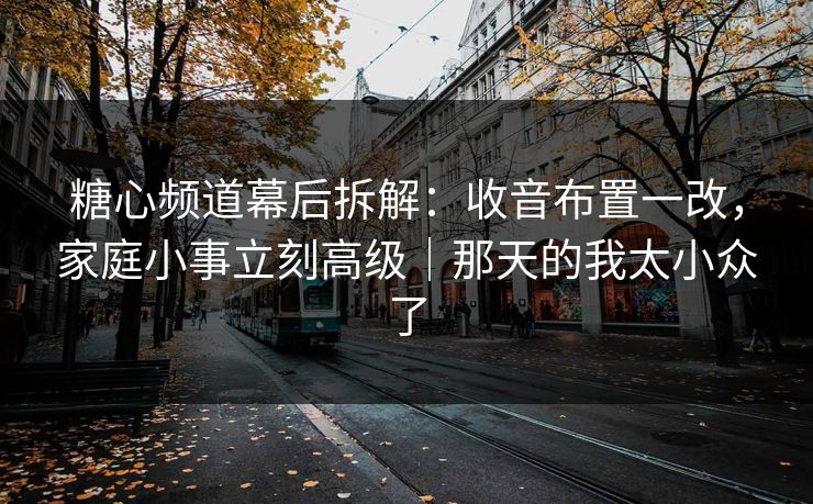 糖心频道幕后拆解：收音布置一改，家庭小事立刻高级｜那天的我太小众了