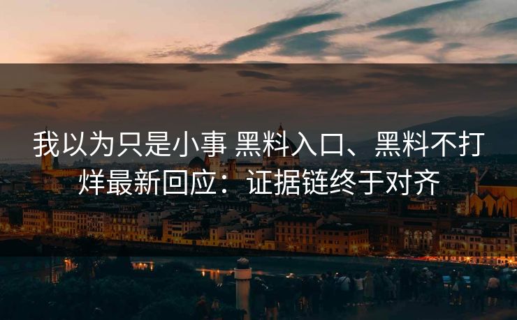 我以为只是小事 黑料入口、黑料不打烊最新回应：证据链终于对齐