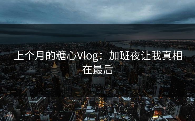 上个月的糖心Vlog：加班夜让我真相在最后