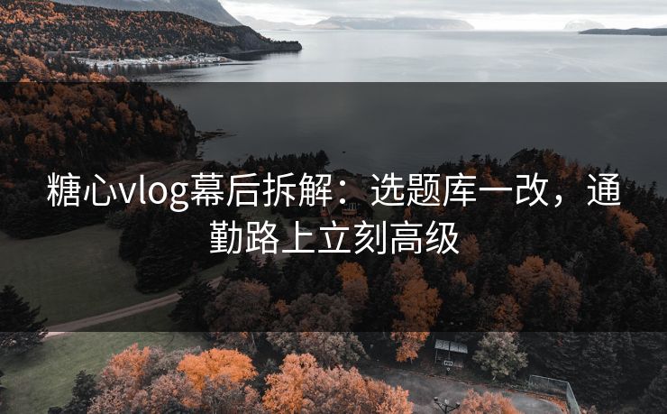 糖心vlog幕后拆解：选题库一改，通勤路上立刻高级