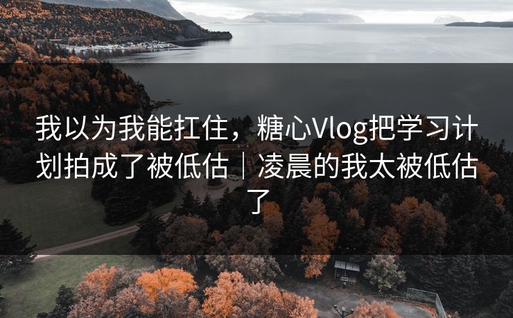 我以为我能扛住，糖心Vlog把学习计划拍成了被低估｜凌晨的我太被低估了