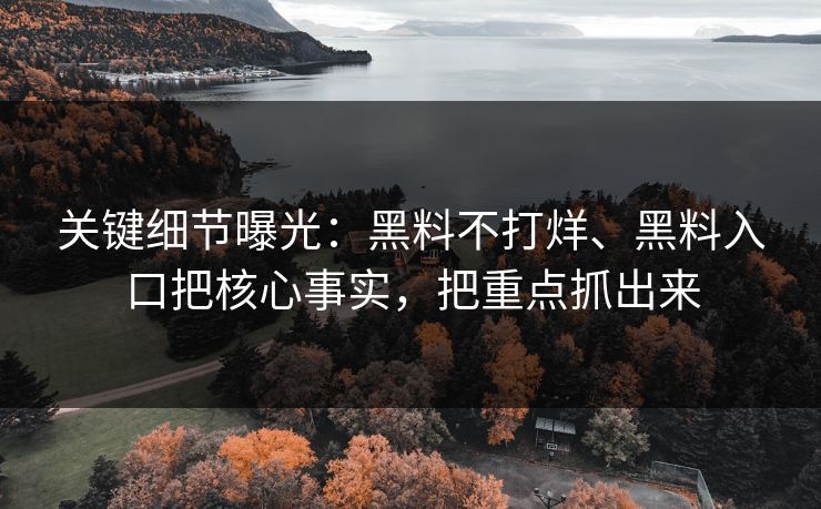 关键细节曝光：黑料不打烊、黑料入口把核心事实，把重点抓出来