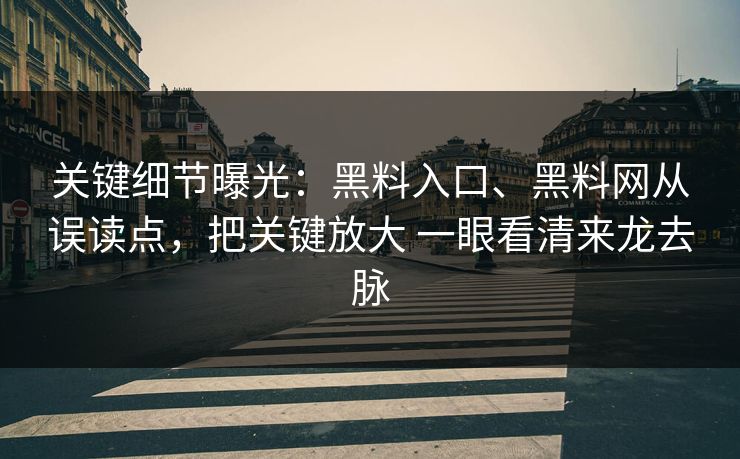 关键细节曝光：黑料入口、黑料网从误读点，把关键放大 一眼看清来龙去脉