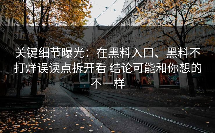 关键细节曝光：在黑料入口、黑料不打烊误读点拆开看 结论可能和你想的不一样