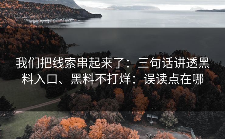 我们把线索串起来了：三句话讲透黑料入口、黑料不打烊：误读点在哪